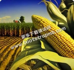 倡导积极健康的生活方式 - jiuyou
